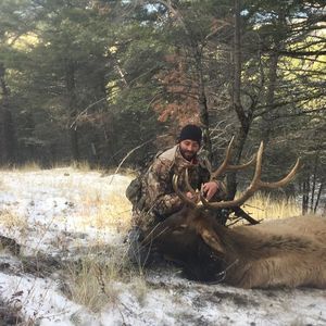 Meet your Posher, Bobby